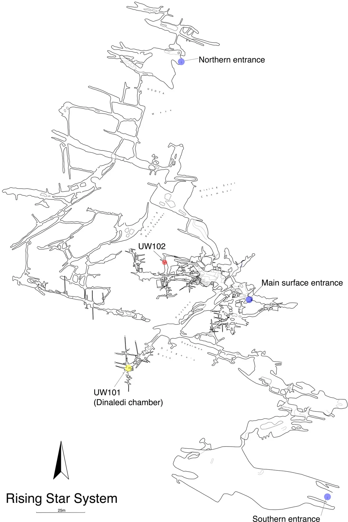 Map of the Rising Star cave system showing the positions of both the Dinaledi and Lesedi chambers