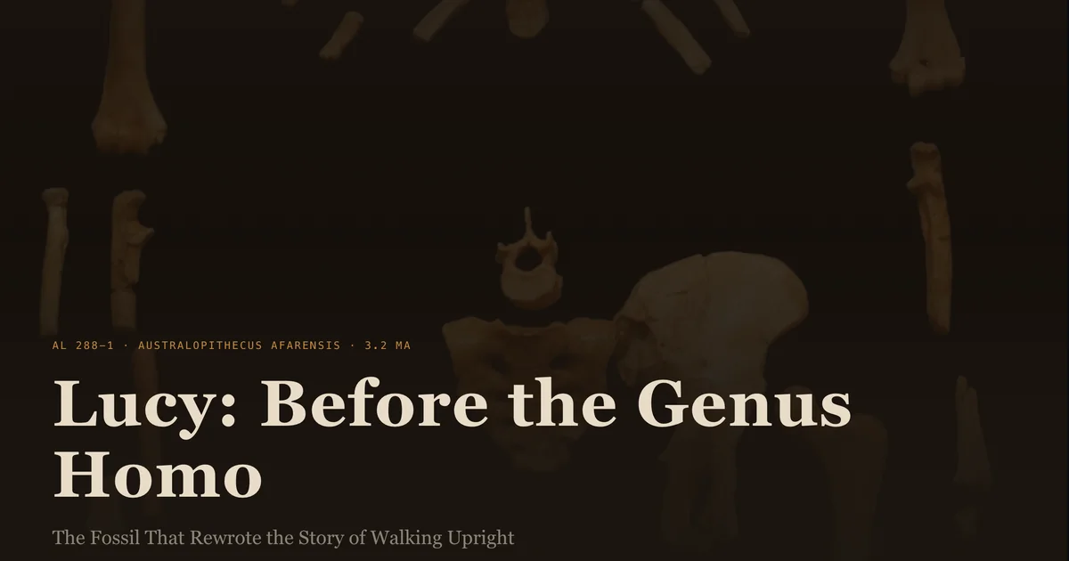 Lucy: Before the Genus Homo