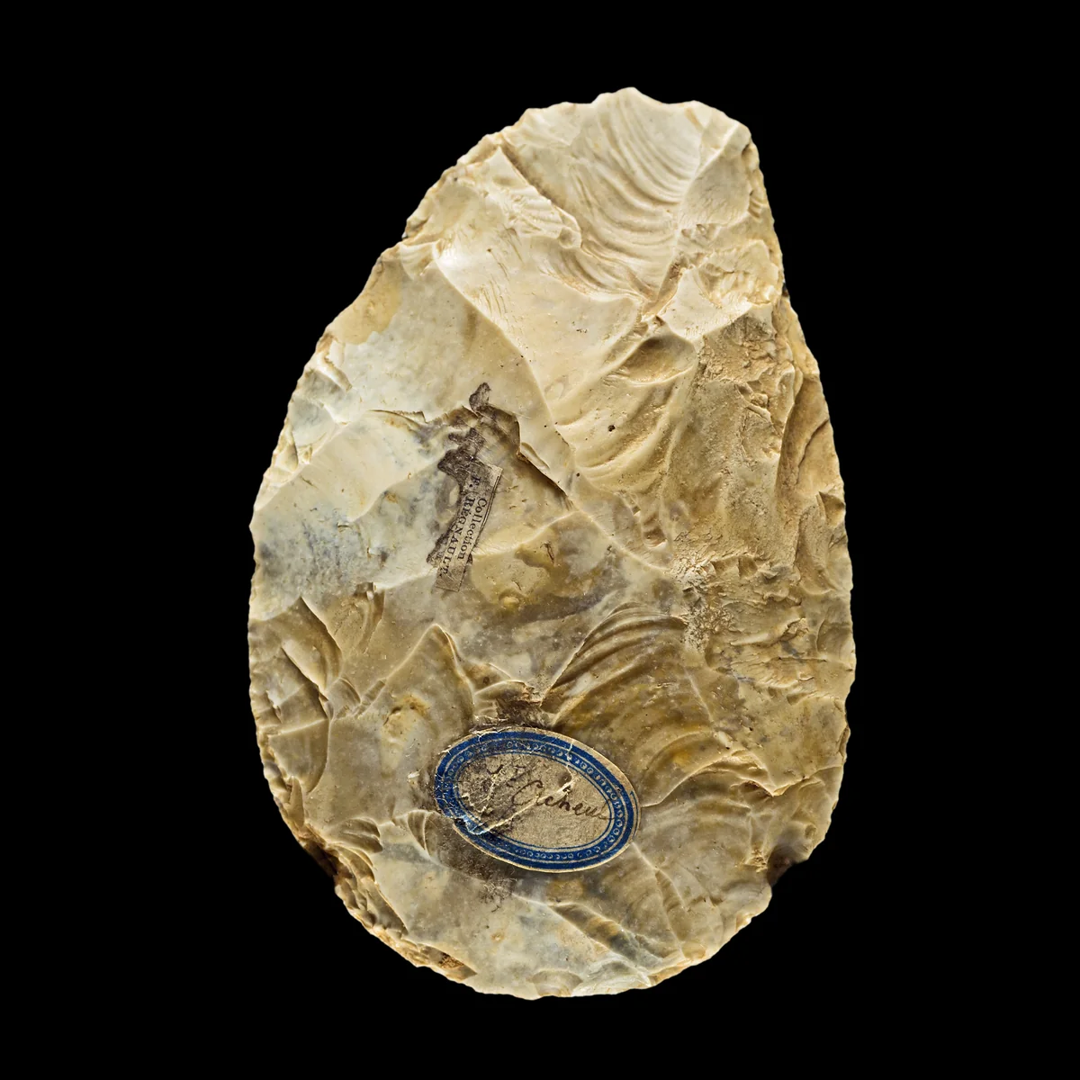 Acheulean biface hand axe from Saint-Acheul, France — the defining tool of Homo erectus and its descendants