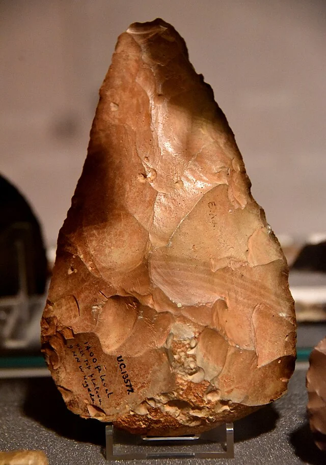 Detailed view of handaxe bilateral symmetry