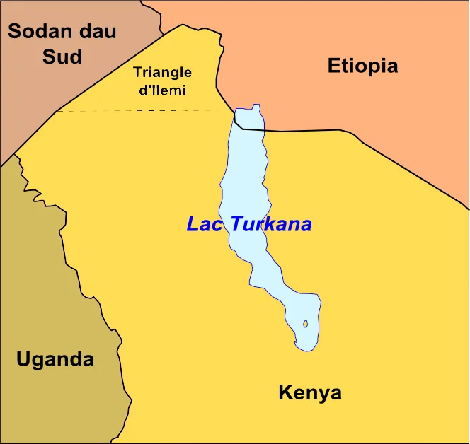 Satellite view of Lake Turkana, the landscape where KNM-WT 15000 lived