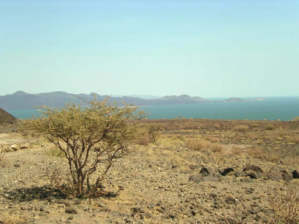 The jade-green waters of Lake Turkana in Kenya's Rift Valley
