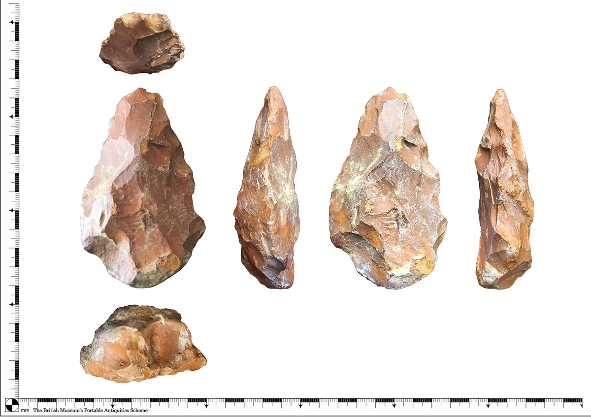 An Acheulean handaxe — the tool tradition associated with Homo ergaster